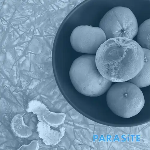 CELL ROT / PARASITE (12")