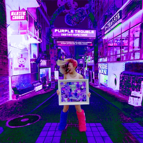 やどかりタイフーン! パーフェクトアレンジアルバム：希少CD Amazon.co.jp: やどかりタイフーン! パーフェクトアレンジ