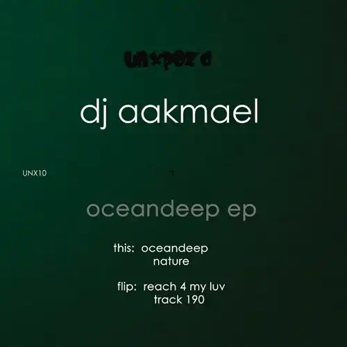 90-00s Deep Houseレコード まとめ売り 30枚セット 90-00s Deep Houseレコード まとめ売り 30枚セット - メルカリ
