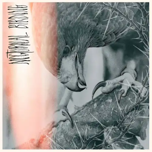 AUTHOR & PUNISHER / NOCTURNAL BIRDING