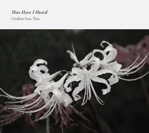 Otohito Fuse / 布施音人 / Thus Have I Heard