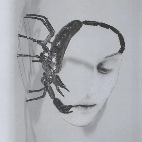 TORTOISE トータス Oval remix レコード TORTOISE トータス Oval remix レコード Artist: Tortoise