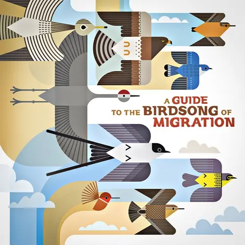 V.A. (A GUIDE TO THE BIRDSONG) / オムニバス / A GUIDE TO THE BIRDSONG OF MIGRATION