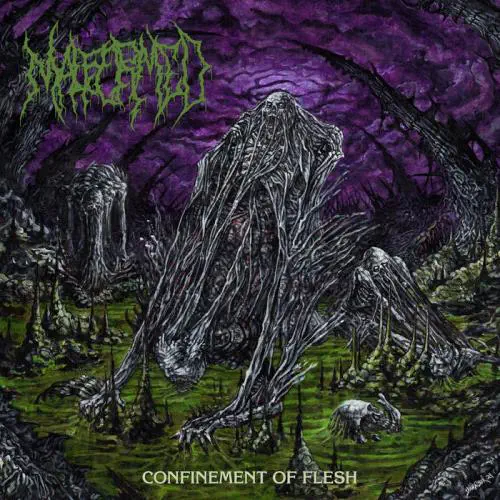 MALFORMED / CONFINEMENT OF FLESH
