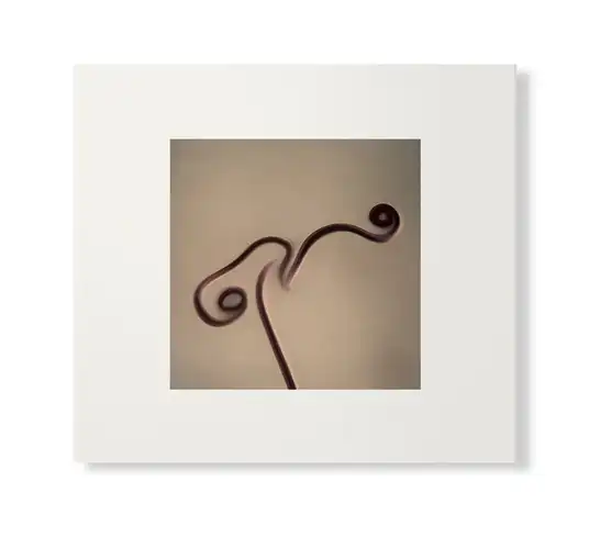 SUSUMU YOKOTA / ススム・ヨコタ / IMAGE 1983-1998 (SKINTONE EDITION) [CD VERSION]