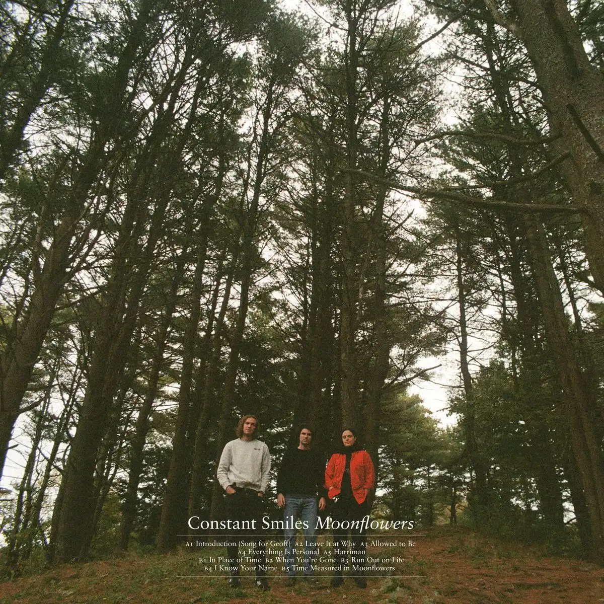 CONSTANT SMILES / コンスタント・スマイルズ / MOONFLOWERS [LP]