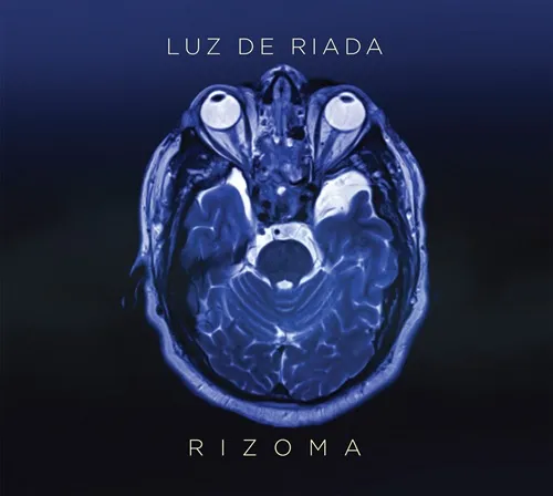 LUZ DE RIADA / RIZOMA