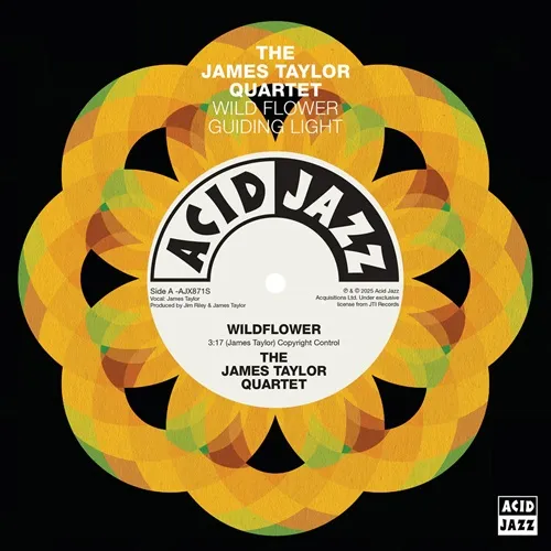 JAMES TAYLOR QUARTET / ジェイムス・テイラー・カルテット商品一覧