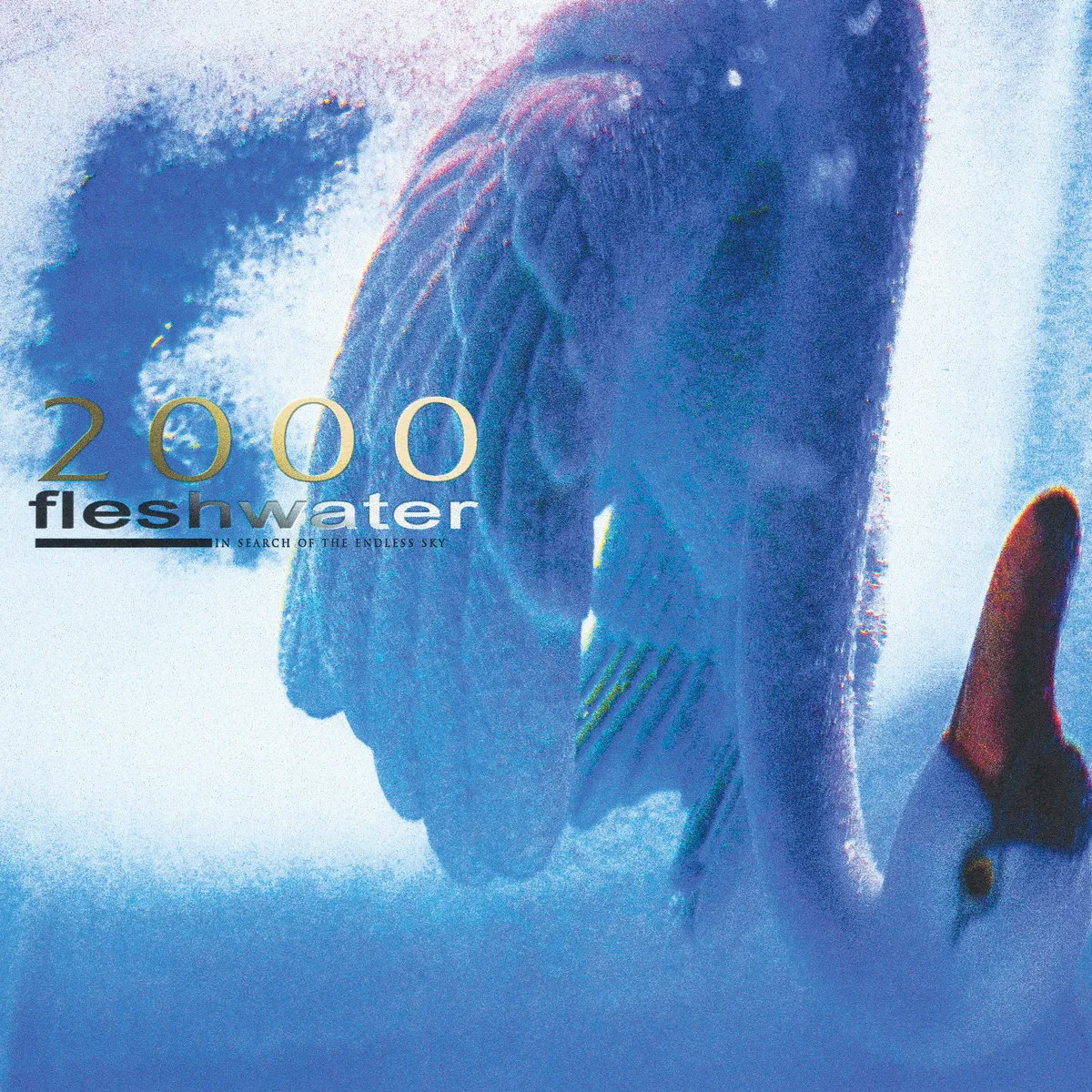 The Brother Kite シューゲイザー Shoegazer 未開封CD m59741364775_1.jpg?1751677790