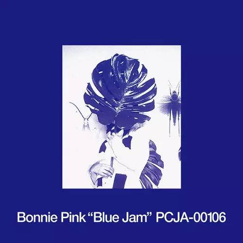 BONNIE PINK ボニーピンク　サイン入り CD&DVD&VHS BONNIE PINK ボニーピンク サイン入り CD&DVD&VHS - メルカリ