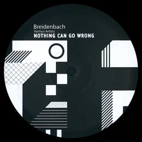 知の限界 NOTHING CAN GO WRONG/V.A. (BREIDENBACH LABEL)/Sasaki Hiroaki