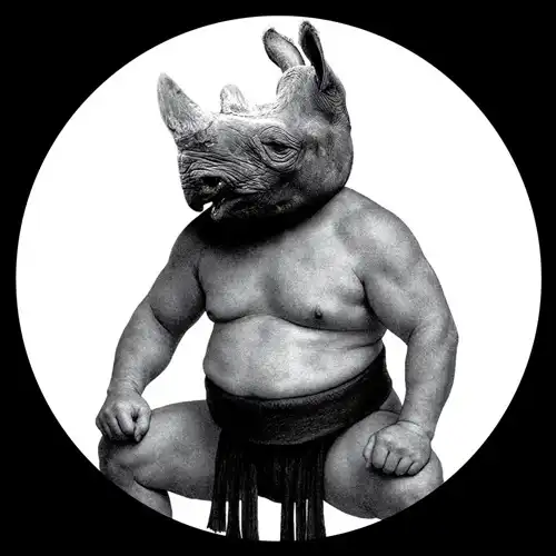 CONCEPTUAL / BETWEEN SAND AND ROSES