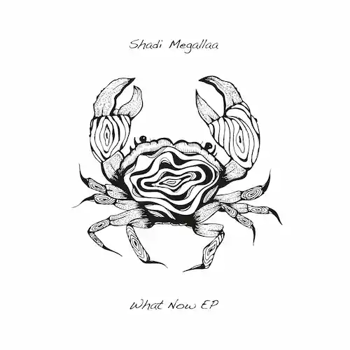 SHADI MEGALLAA / WHAT NOW