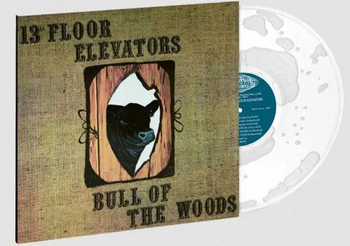 13TH FLOOR ELEVATORS / サーティーンス・フロア・エレヴェー