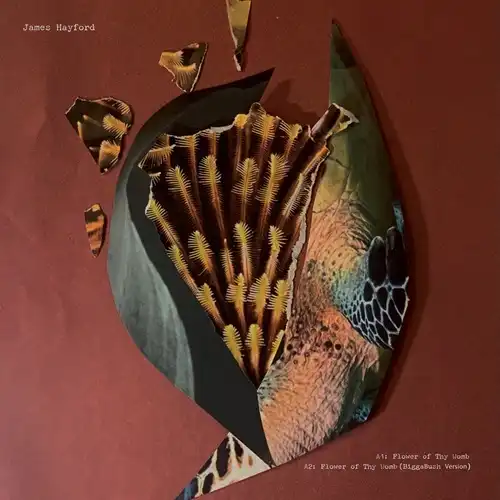 DRUM&BASS/DUBSTEP｜CLUB / DANCE｜ディスクユニオン