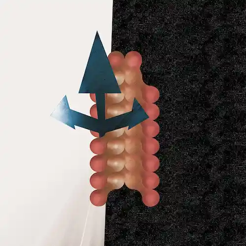 WATA IGARASHI & POLYGONIA / CROSS PASSAGE