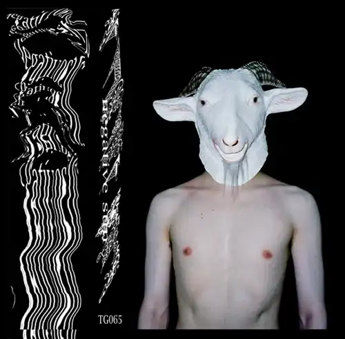 NEGATIVE SUN商品一覧｜ディスクユニオン・オンラインショップ