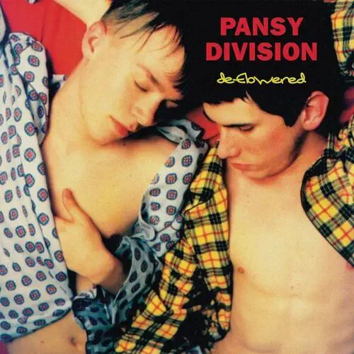 PANSY DIVISION / パンジーディヴィジョン / DEFLOWERED (LP)