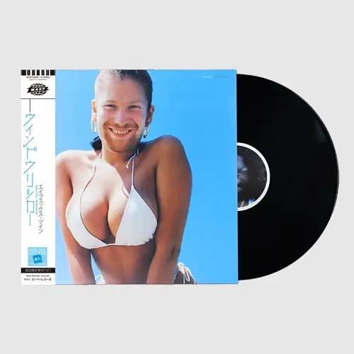 APHEX TWIN / エイフェックス・ツイン / WINDOWLICKER (12")(数量限定/日本語帯付き/ステッカー封入)