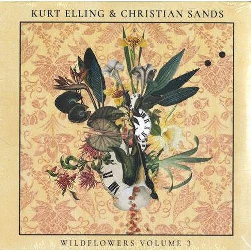 SAD AND BEAUTIFUL WORLD/MAVIS STAPLES/メイヴィス・ステイプルズ