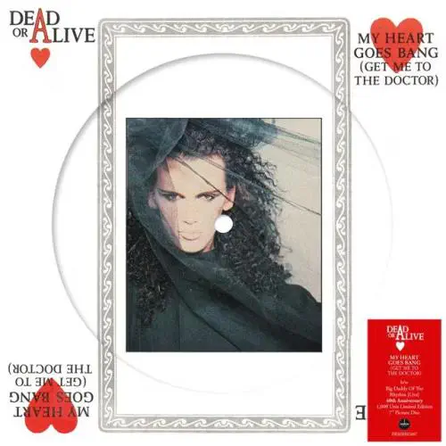 DEAD OR ALIVE / デッド・オア・アライヴ商品一覧｜ディスク
