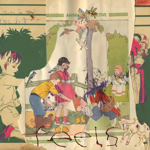 ANIMAL COLLECTIVE / FEELS 20TH ANNIVERSARY (2CD)