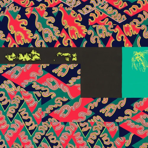 NATURAL INFORMATION SOCIETY / ナチュラル・インフォメーション・ソサイエティ / descension (Out of Our Constrictions)(LP)