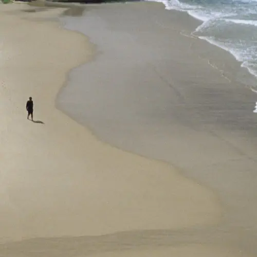 AUTUMN DEFENSE / オータム・ディフェンス / HERE AND NOWHERE (COLORED LP)