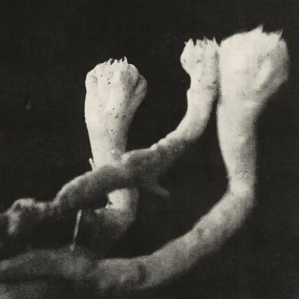 LAUTEN DER SEELE / UNTERHALTUNGEN MIT LARVEN UND UBERRESTEN 