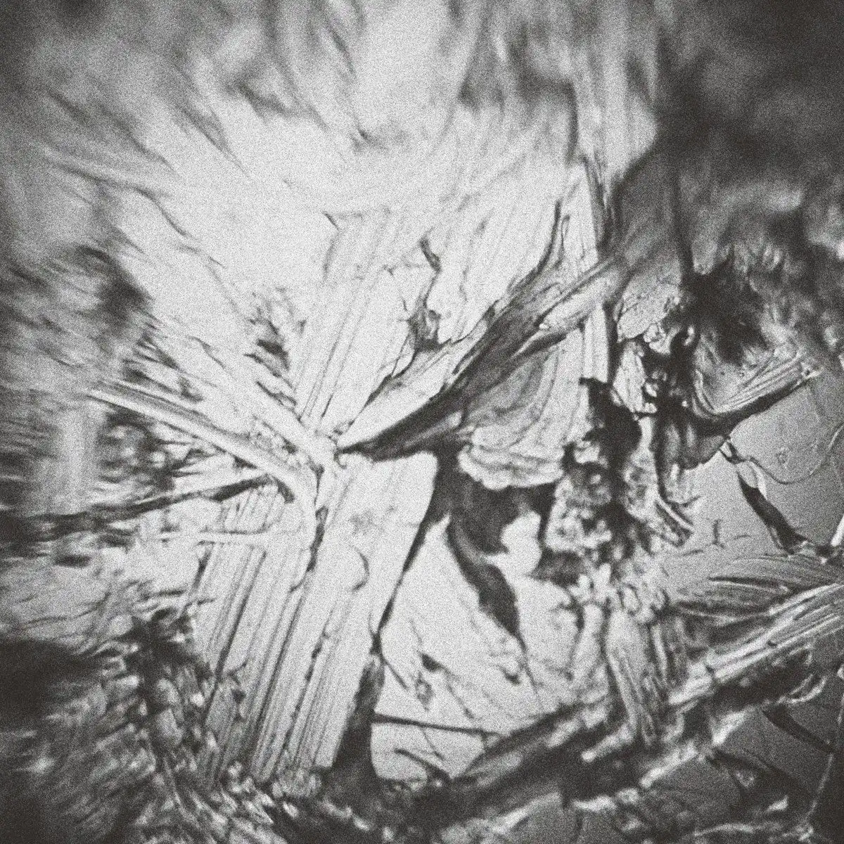 AKI ONDA / 恩田晃商品一覧｜SOUL / BLUES｜ディスクユニオン