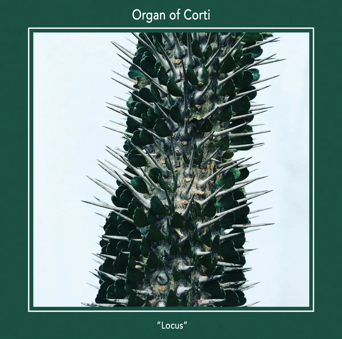 ORGAN OF CORTI / LOCUS