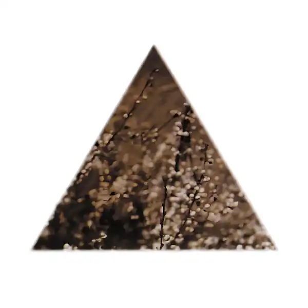 TERRE THAEMLITZ / テーリ・テムリッツ / SOIL (30TH ANNIVERSARY EDITION) 3LP