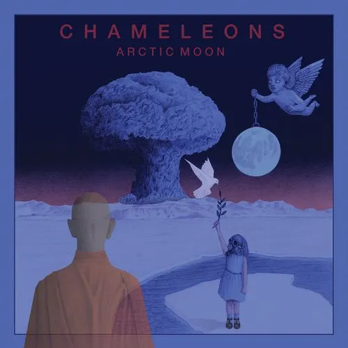 レア　希少　カメレオンズ　the chameleons Tシャツ Lサイズ 黒 WILD SQUIRREL