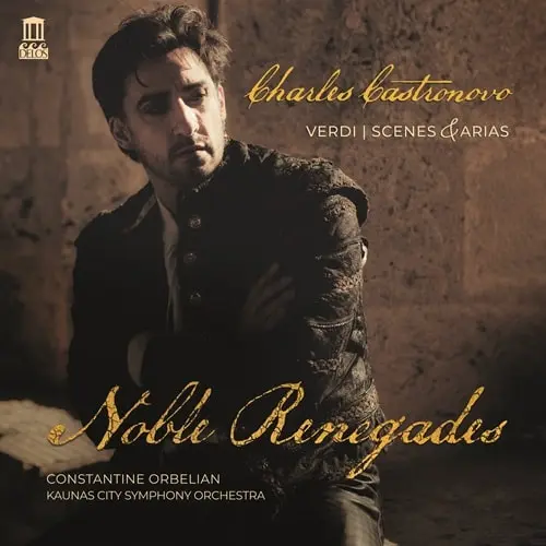 CHARLES CASTRONOVO / チャールズ・カストロノヴォ / NOBLE RENEGADES(LP)