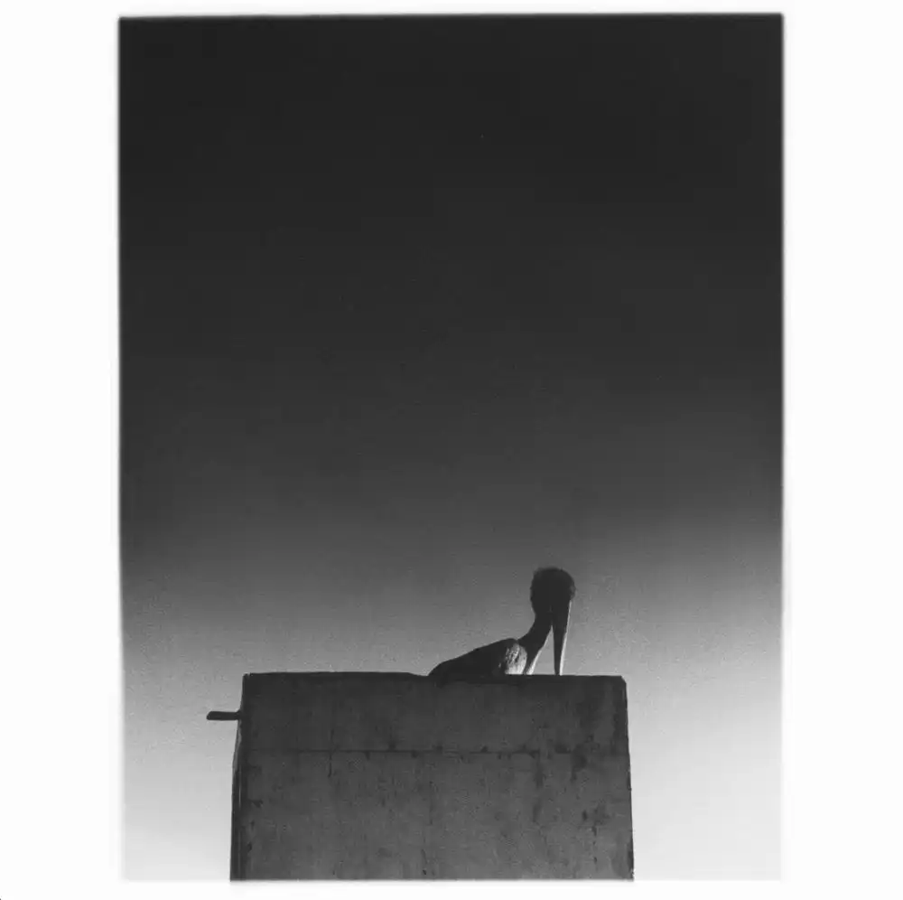 MIKA VAINIO / ミカ・ヴァイニオ / SYSIVALO