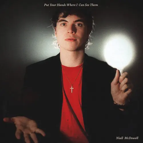 NIALL MCDOWELL / PUT YOUR HANDS WHERE I CAN SEE THEM