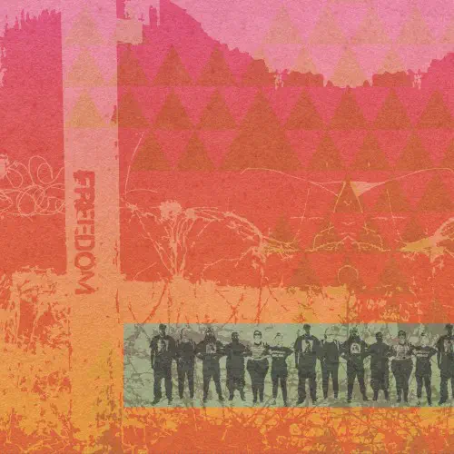 ポップス・インディ・オルタナ｜レコード・CD・DVDの通販｜ディスク