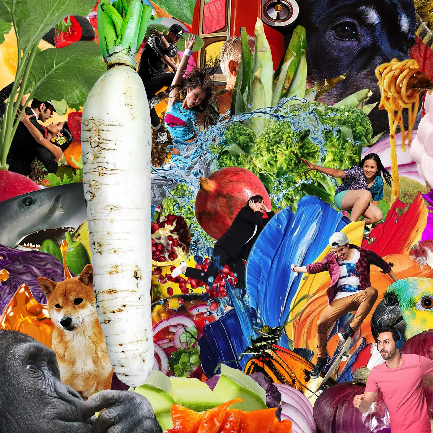 JETSKI / THE RADIANT RADISH [CD]