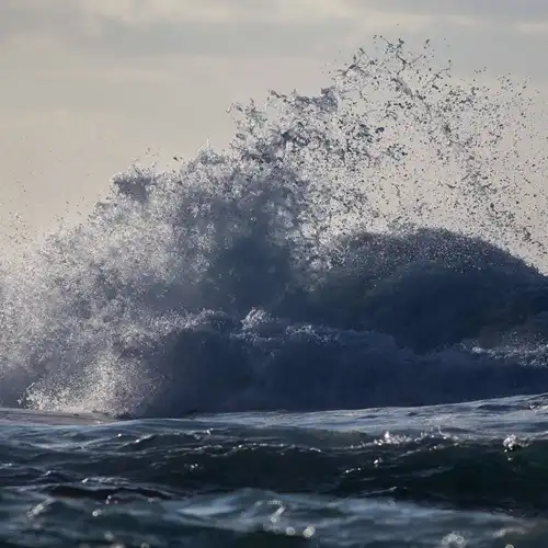 V.A. (Experimental Rooms) / Sound Surrounding On Sado