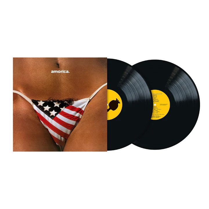 BLACK CROWES / ブラック・クロウズ / AMORICA [2LP EDITION]