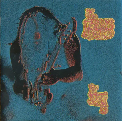 BEVIS FROND / ベヴィス・フロンド / IT JUST IS [2LP]