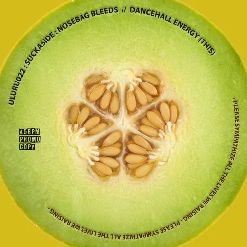 SUCKASIDE / NOSEBAG BLEEDS (COLOR)