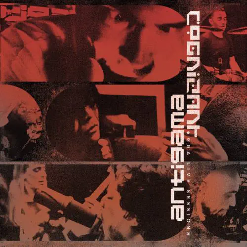 ANTIGAMA : COGNIZANT / SPLIT