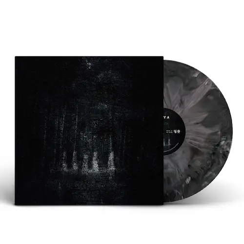 GANGSTA RAP｜HIPHOP / 日本語RAP｜ディスクユニオン・オンライン