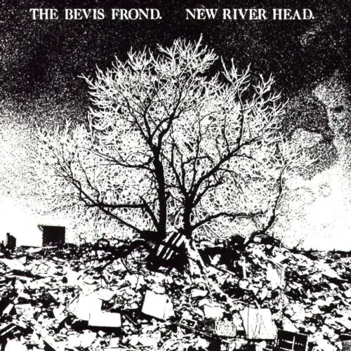 BEVIS FROND / ベヴィス・フロンド / NEW RIVER HEAD [2LP]