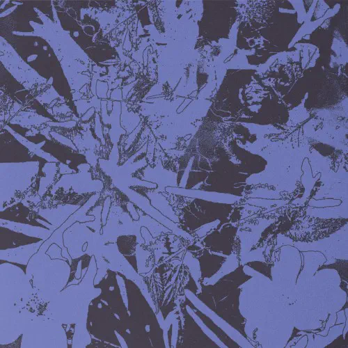 PLANTS HEAL / FOREST DWELLERS