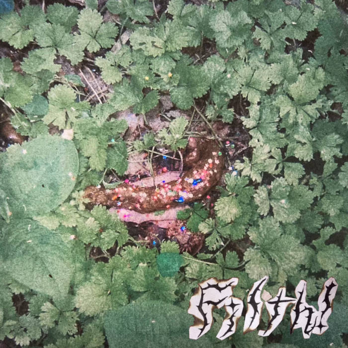 Sorry No Camisole's / Filth!