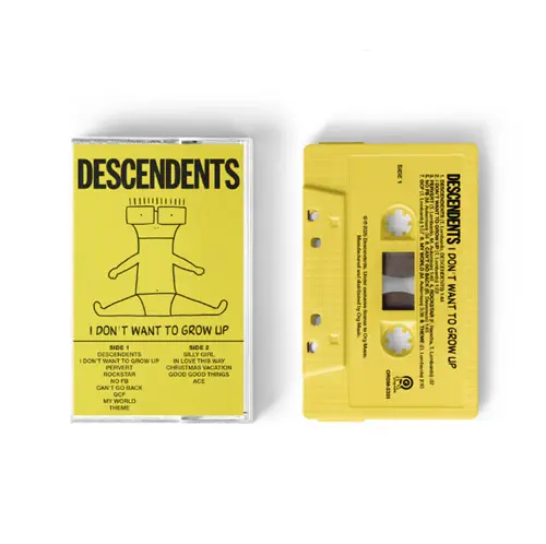 DESCENDENTS レコード2枚 DESCENDENTS レコード2枚