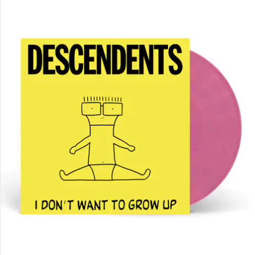 DESCENDENTS レコード2枚 DESCENDENTS レコード2枚