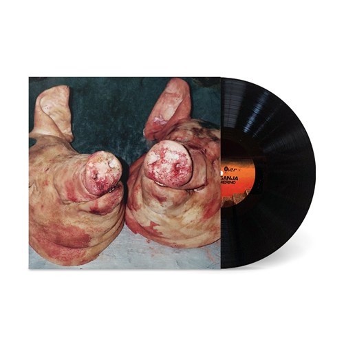 ARMAND HAMMER & THE ALCHEMIST / HARAM (LP)